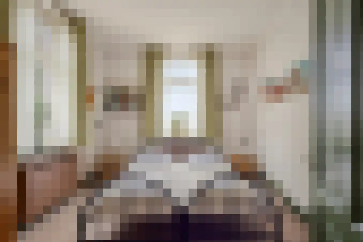 Lollebeekweg 39 Castenray thumbnail 30
