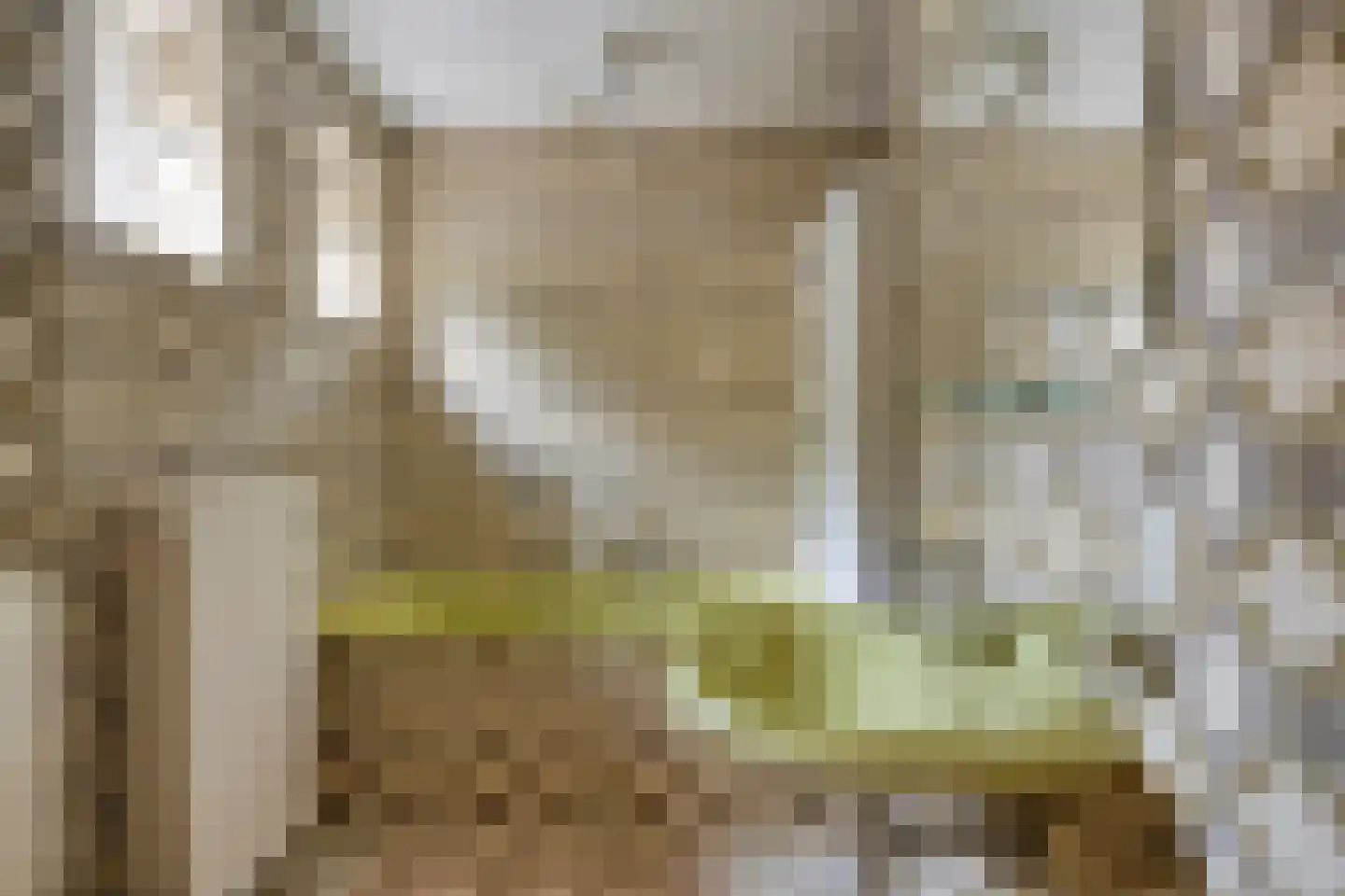 Lollebeekweg 39 Castenray thumbnail 35