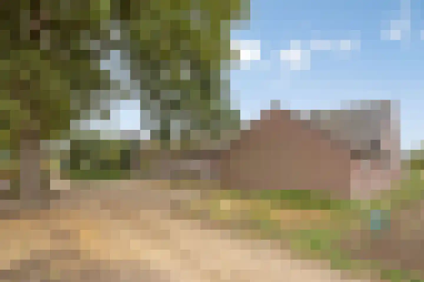 Lollebeekweg 39 Castenray thumbnail 4