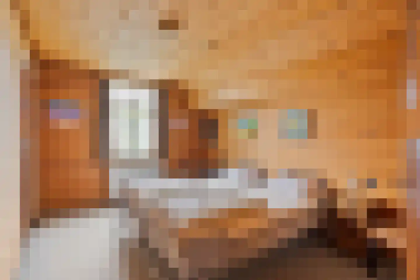 Lollebeekweg 39 Castenray thumbnail 45