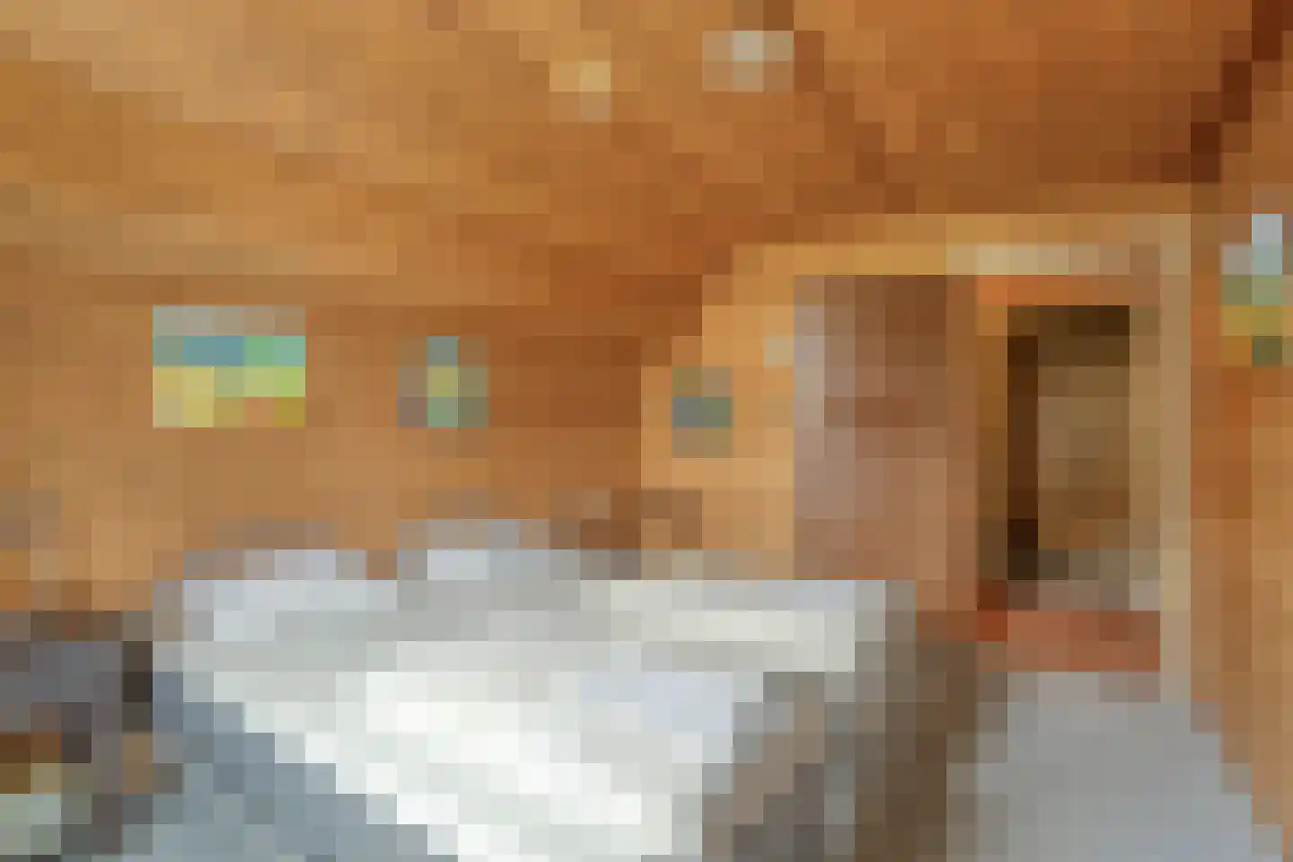 Lollebeekweg 39 Castenray thumbnail 46