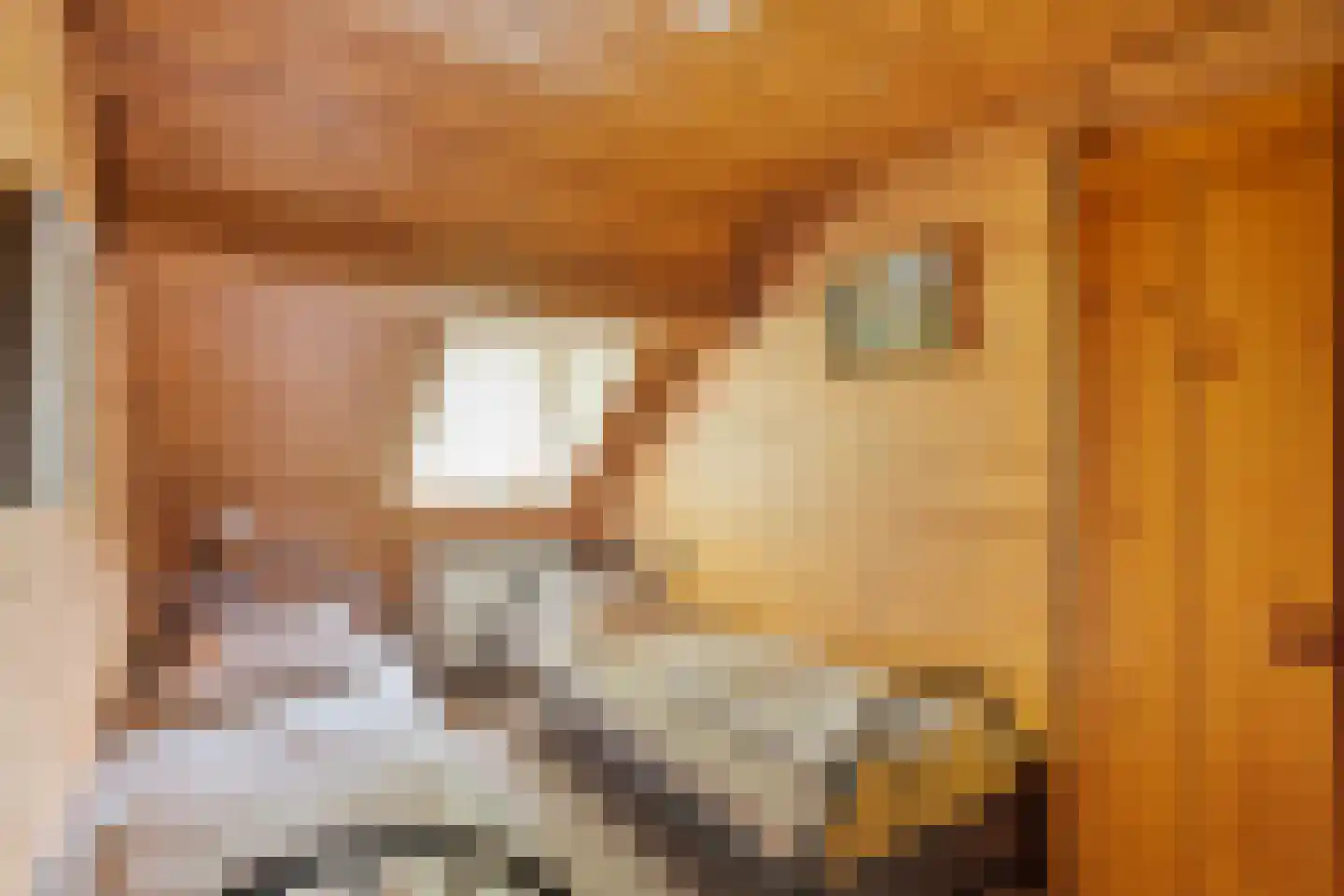 Lollebeekweg 39 Castenray thumbnail 48