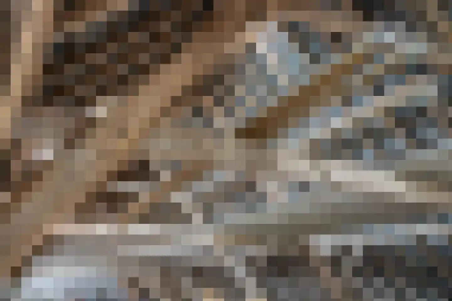 Lollebeekweg 39 Castenray thumbnail 51