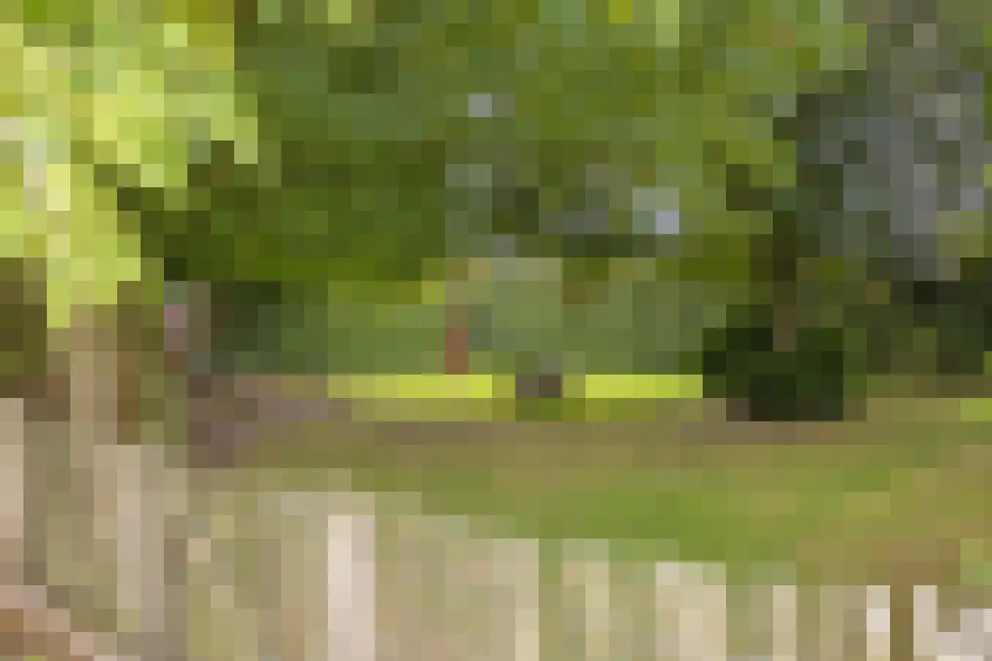 Lollebeekweg 39 Castenray thumbnail 52