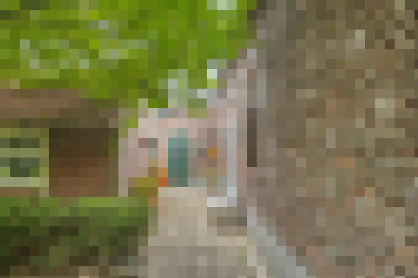Lollebeekweg 39 Castenray thumbnail 55