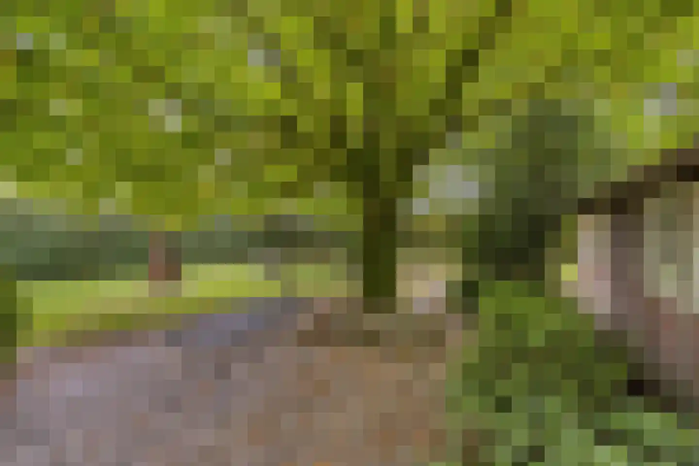Lollebeekweg 39 Castenray thumbnail 56