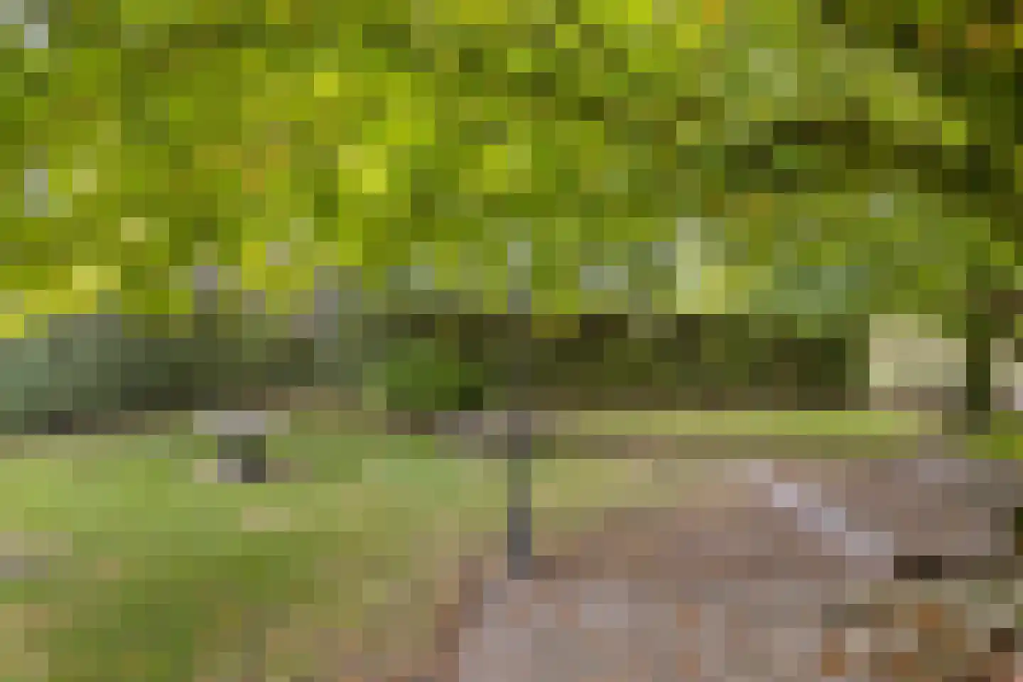 Lollebeekweg 39 Castenray thumbnail 57