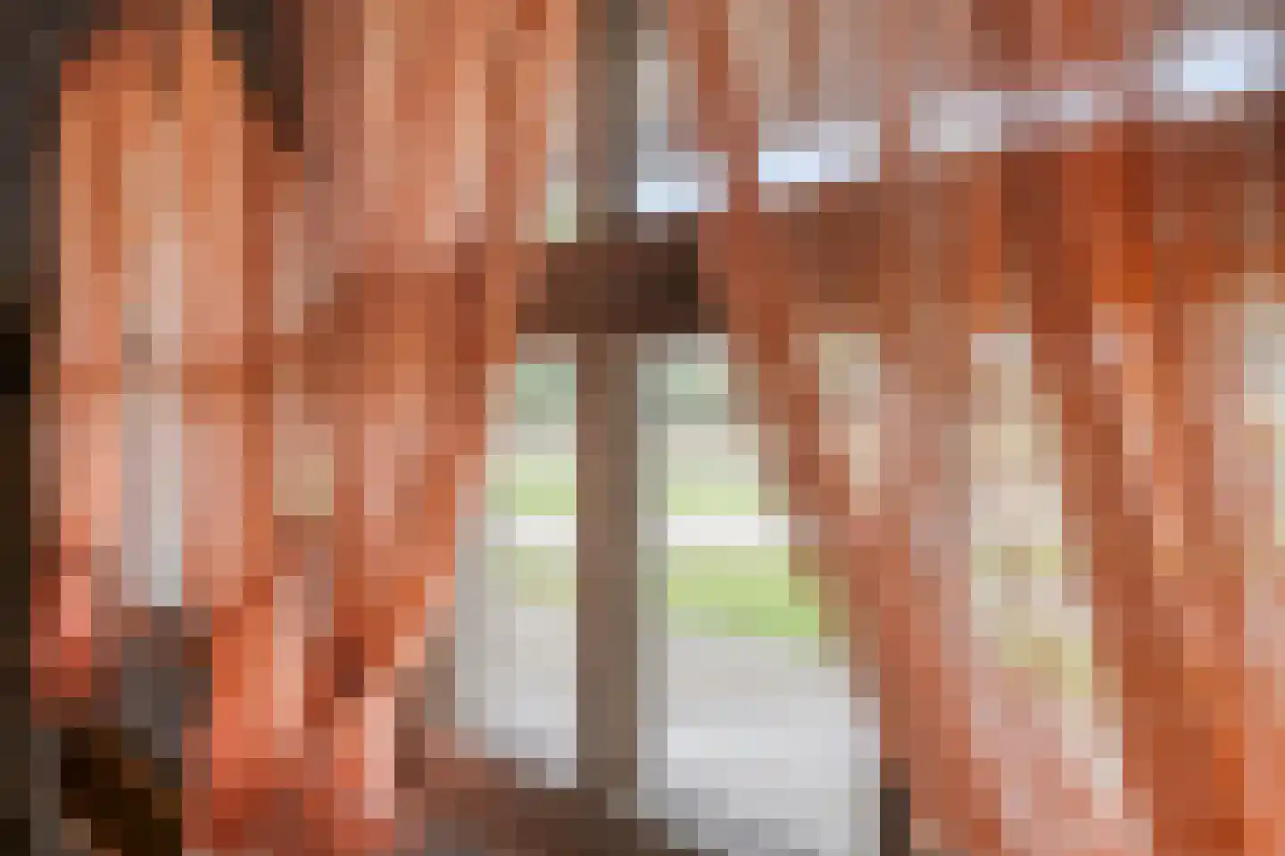 Lollebeekweg 39 Castenray thumbnail 60