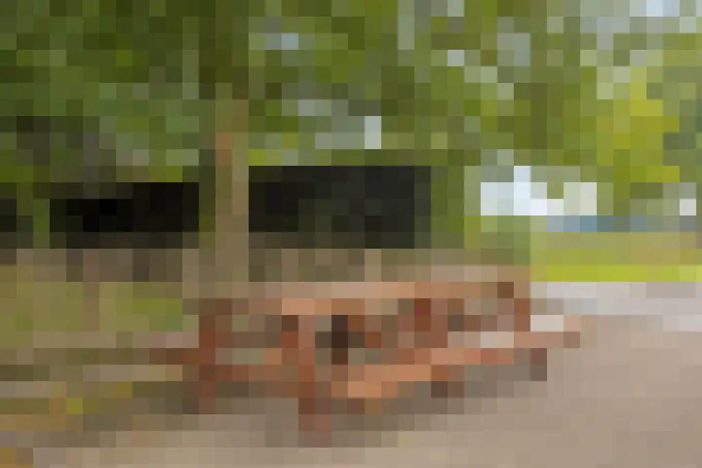 Lollebeekweg 39 Castenray thumbnail 65