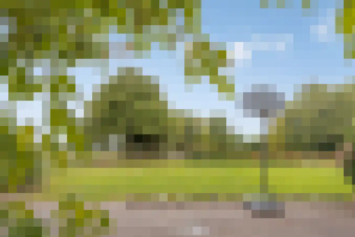Lollebeekweg 39 Castenray thumbnail 66