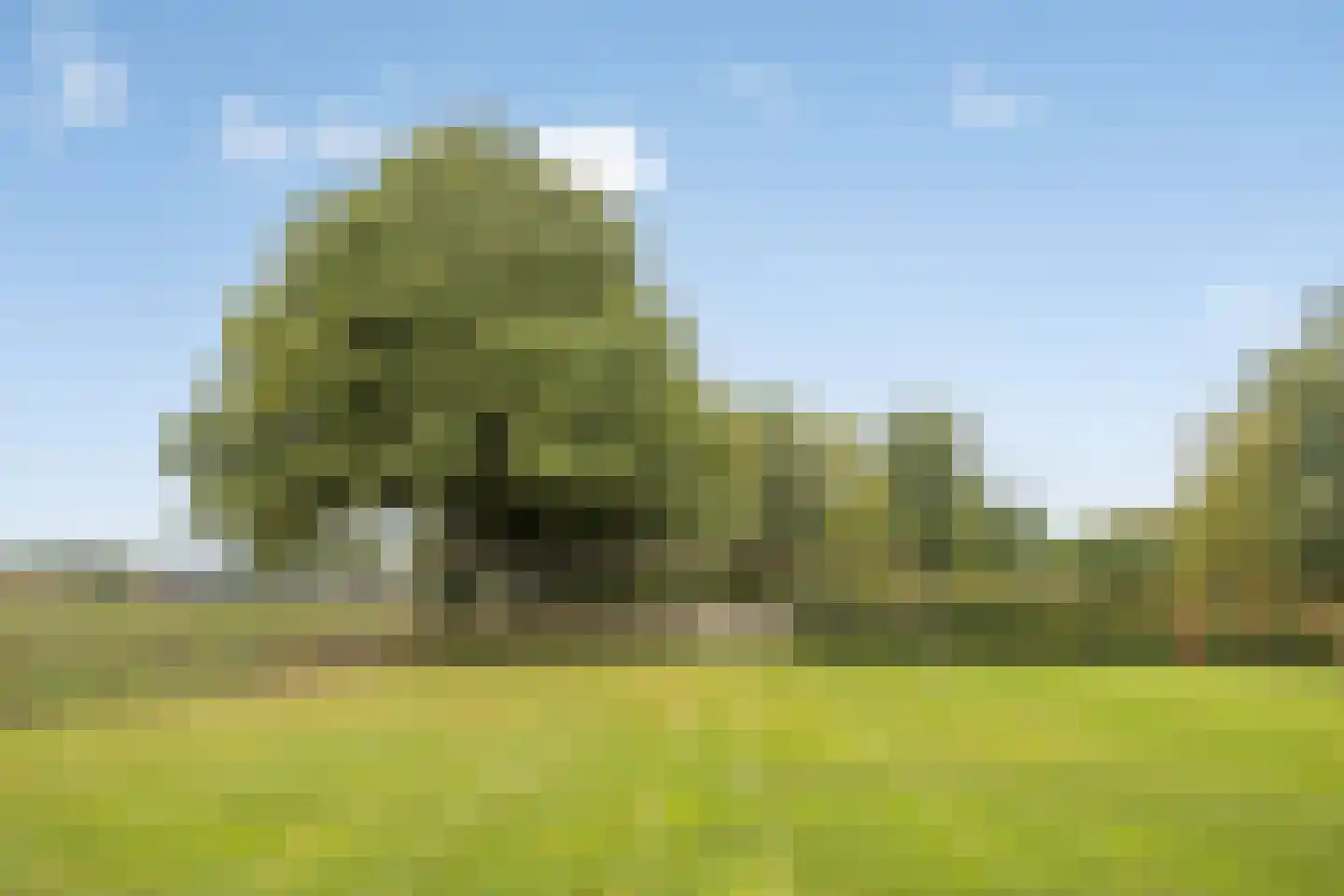 Lollebeekweg 39 Castenray thumbnail 69