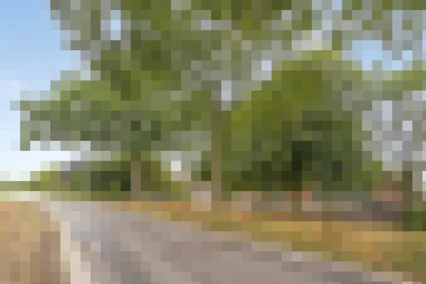 Lollebeekweg 39 Castenray thumbnail 7