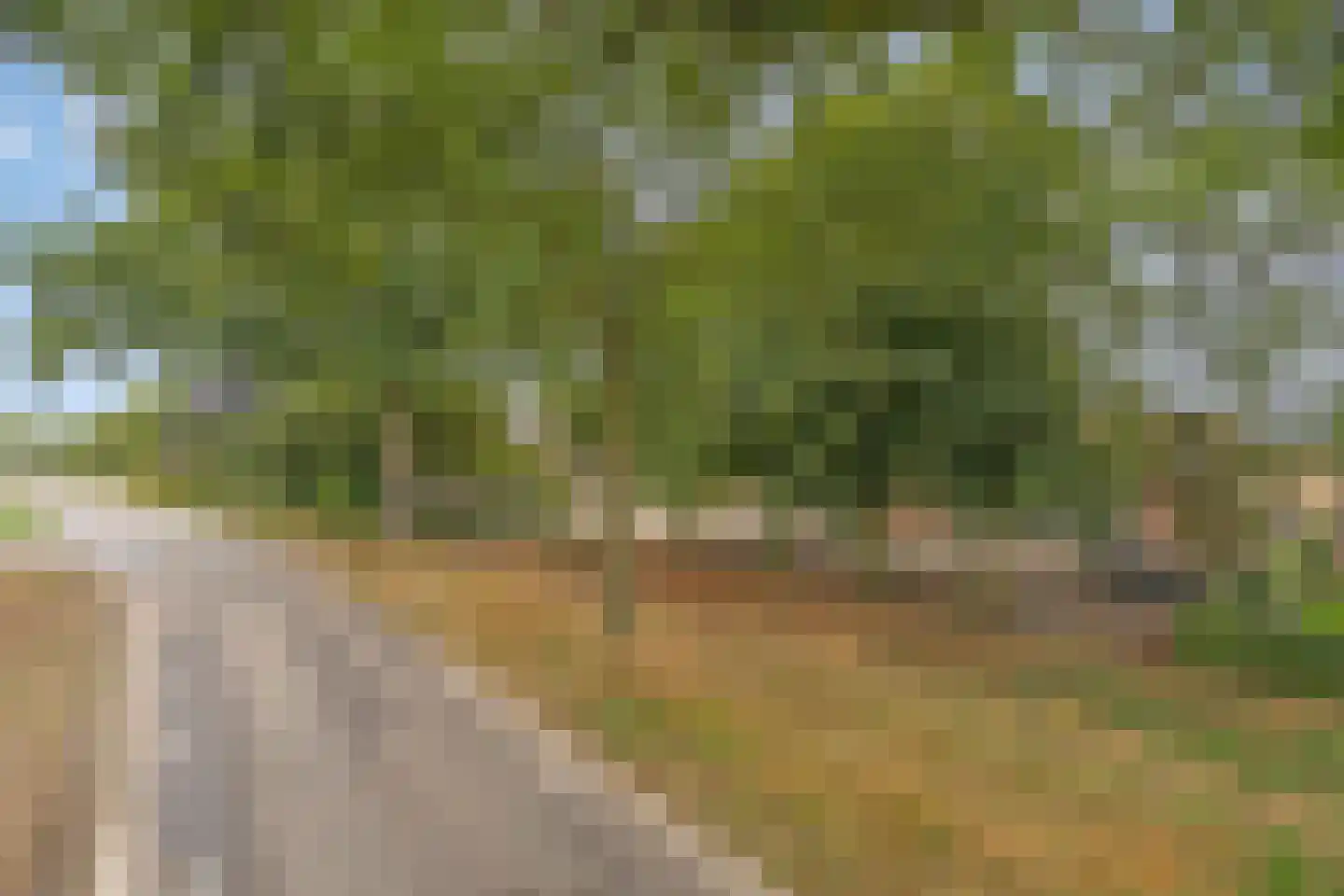 Lollebeekweg 39 Castenray thumbnail 8