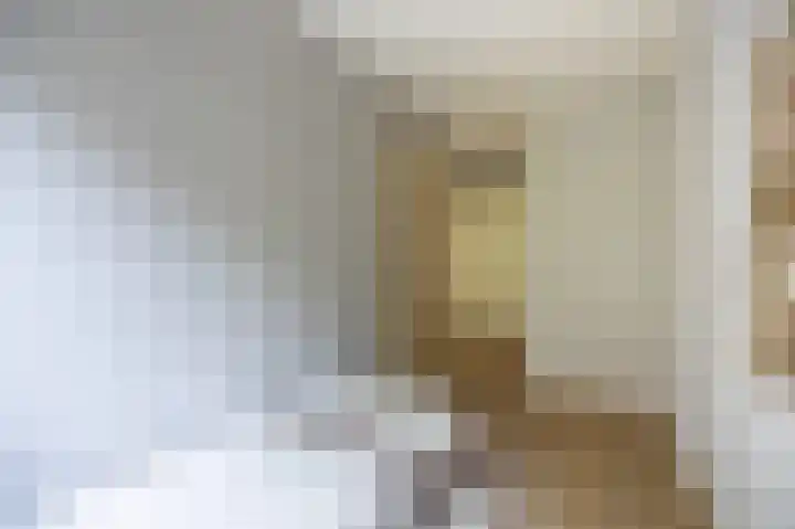 Lollestraat 10 b Oudenbosch thumbnail 22