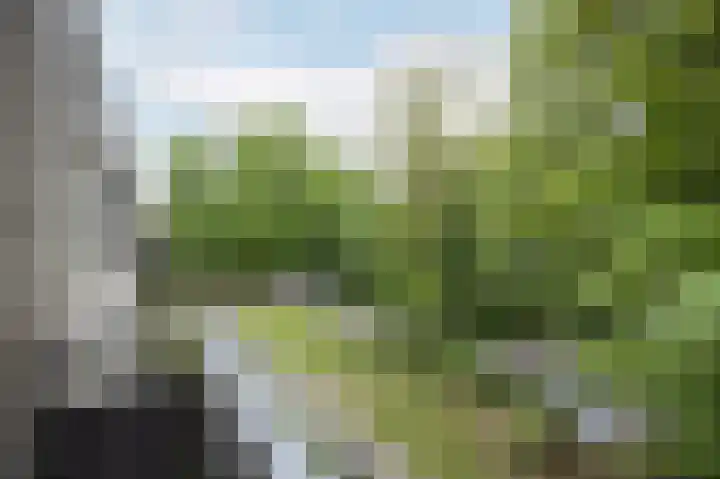 Lollestraat 10 b Oudenbosch thumbnail 25