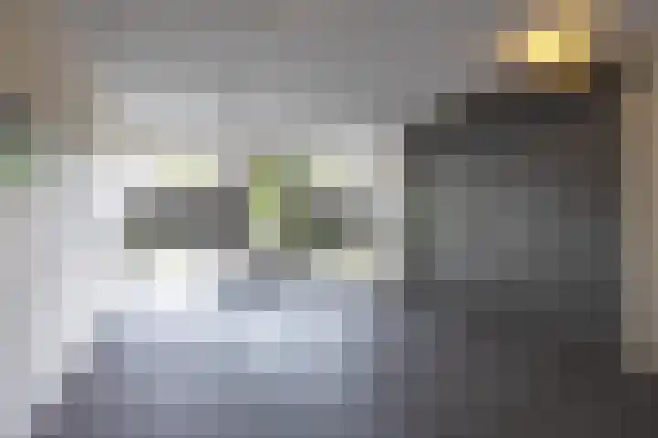 Lollestraat 10 b Oudenbosch thumbnail 5