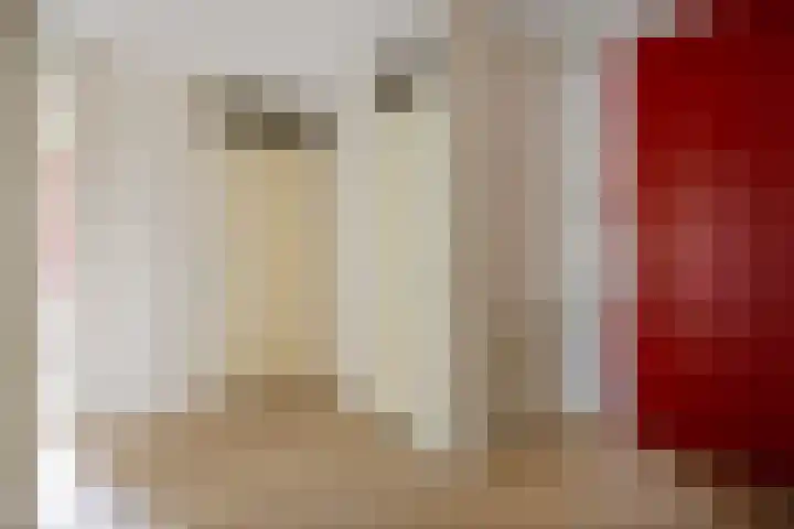 Lollestraat 10 b Oudenbosch thumbnail 7