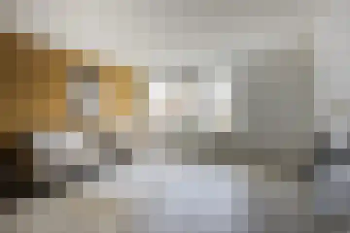 Lollestraat 14 a Oudenbosch thumbnail 10