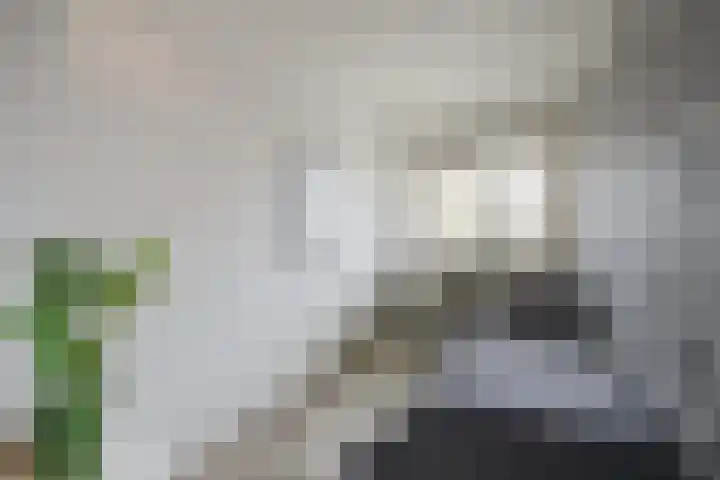 Lollestraat 14 a Oudenbosch thumbnail 22