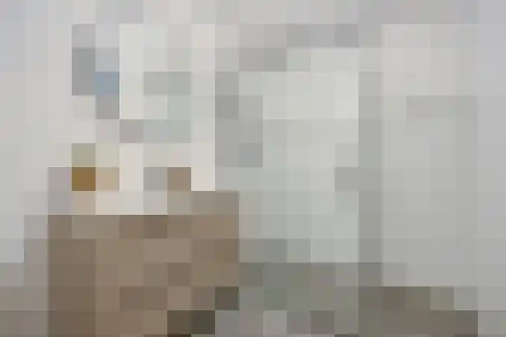 Lollestraat 14 a Oudenbosch thumbnail 26