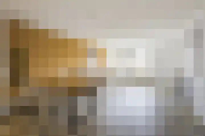Lollestraat 14 a Oudenbosch thumbnail 9