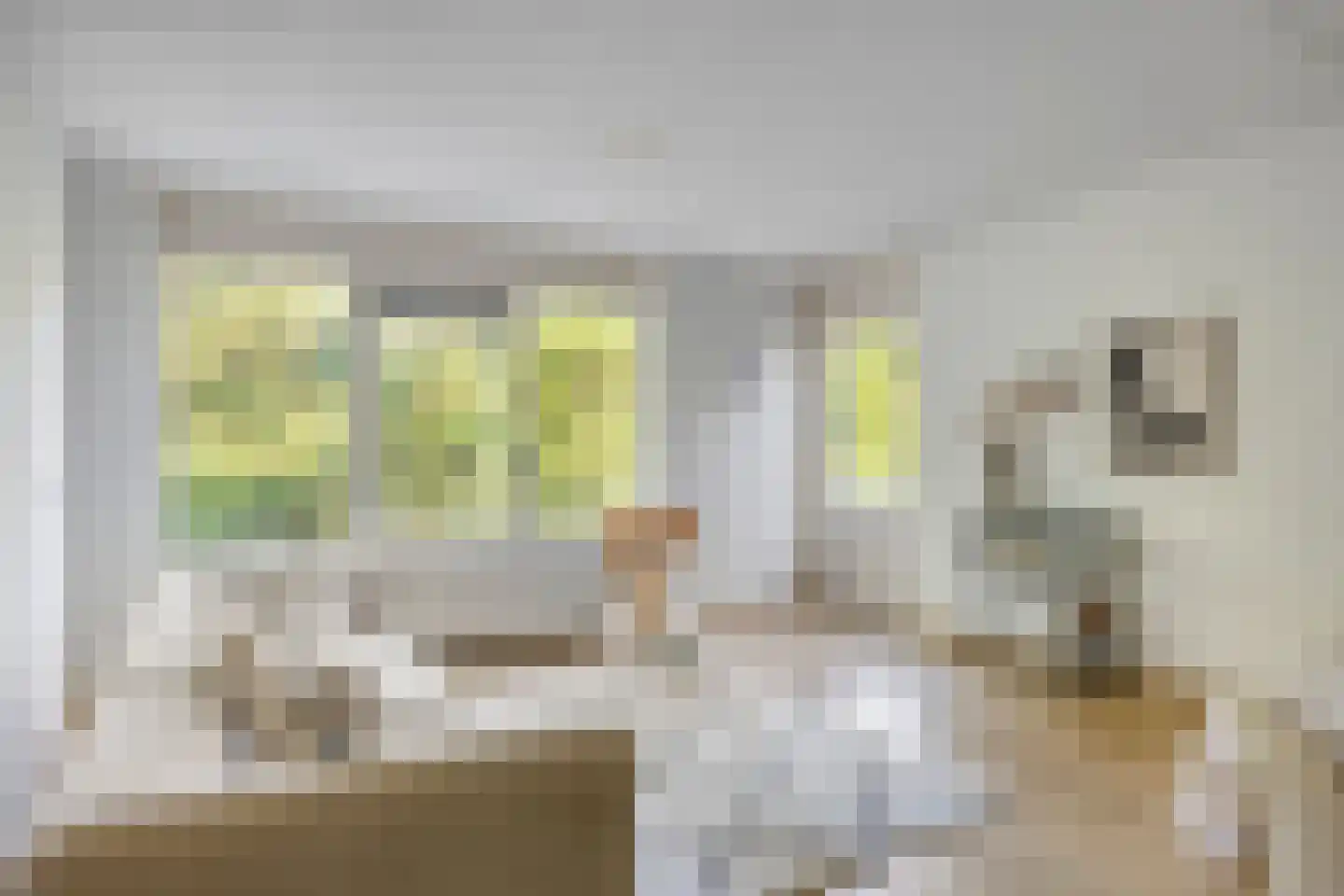 Lollestraat 16 b Oudenbosch thumbnail 15