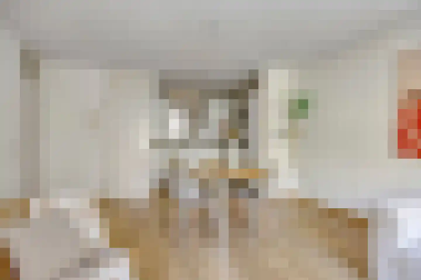 Lollestraat 16 b Oudenbosch thumbnail 19