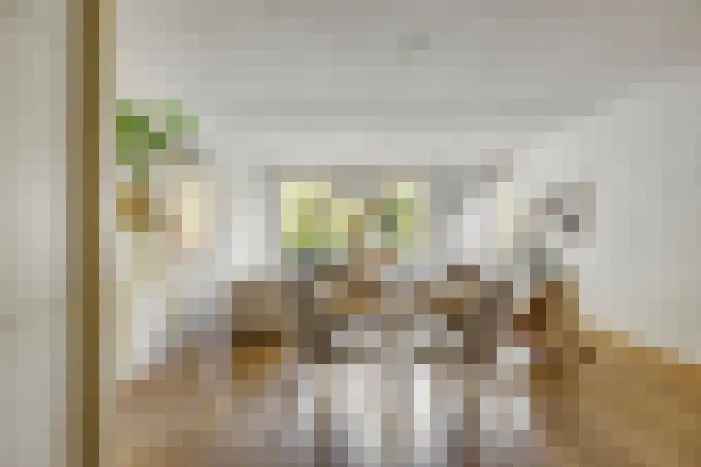 Lollestraat 16 b Oudenbosch thumbnail 20