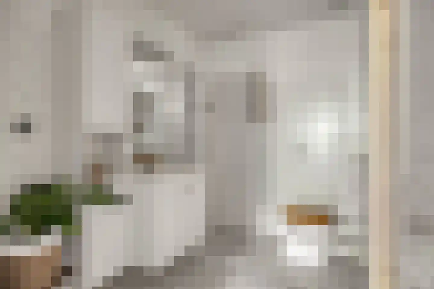 Lollestraat 16 b Oudenbosch thumbnail 26