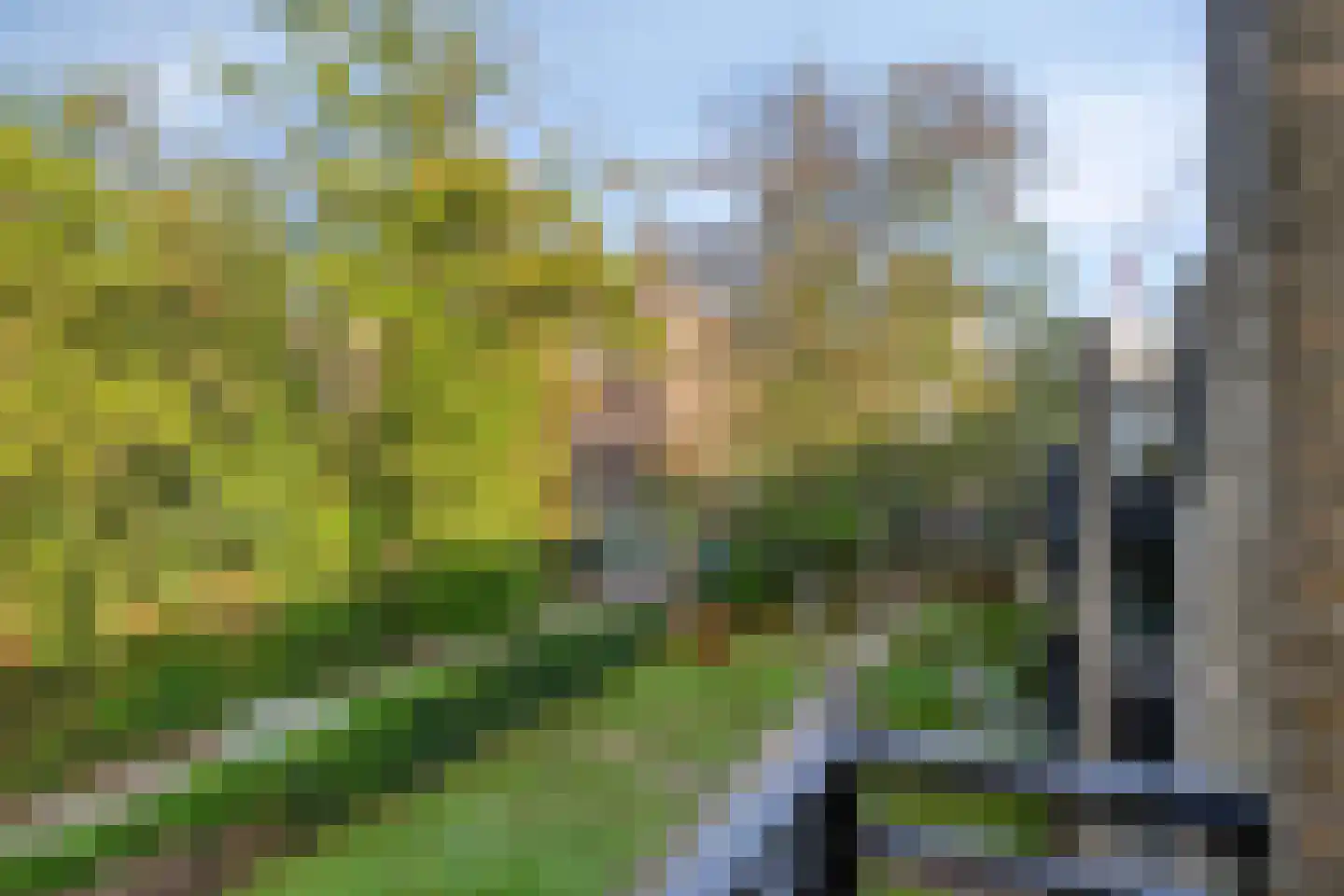 Lollestraat 16 b Oudenbosch thumbnail 31