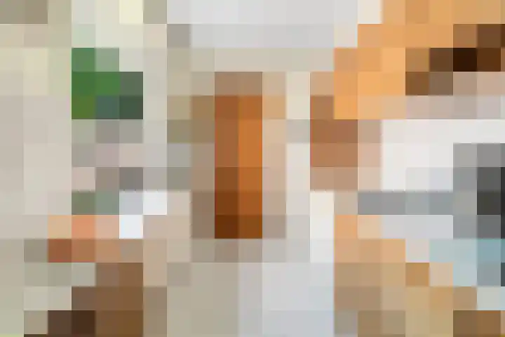 Lollestraat 21 Oudenbosch thumbnail 10