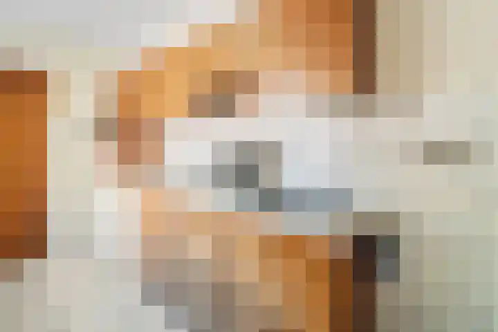 Lollestraat 21 Oudenbosch thumbnail 12