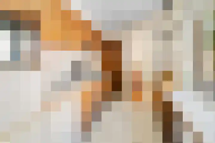 Lollestraat 21 Oudenbosch thumbnail 13