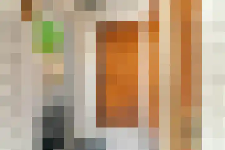 Lollestraat 21 Oudenbosch thumbnail 14