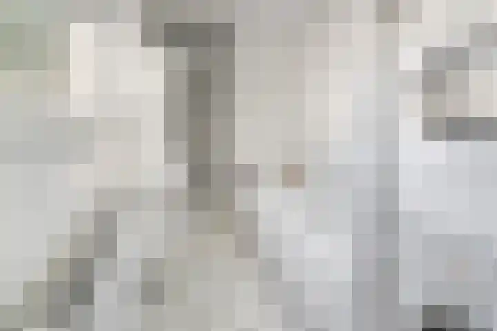 Lollestraat 21 Oudenbosch thumbnail 15