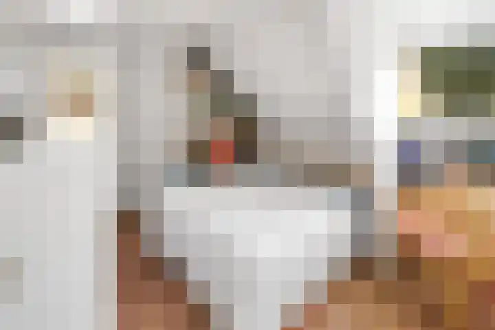 Lollestraat 21 Oudenbosch thumbnail 24