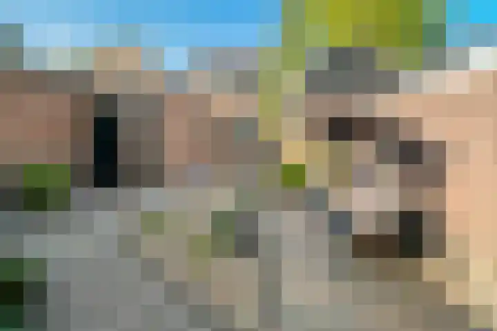 Lollestraat 21 Oudenbosch thumbnail 32