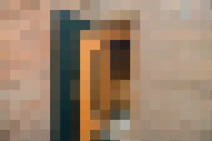 Lollestraat 21 Oudenbosch thumbnail 33
