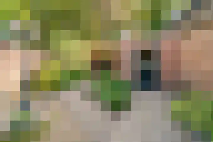 Lollestraat 21 Oudenbosch thumbnail 34