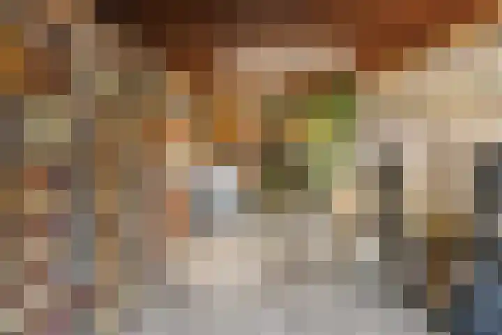 Lollestraat 21 Oudenbosch thumbnail 35