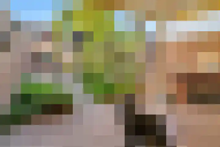 Lollestraat 21 Oudenbosch thumbnail 36