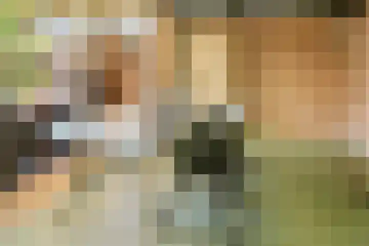 Lollestraat 21 Oudenbosch thumbnail 38