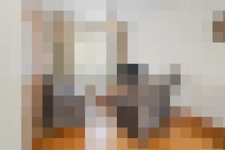 Lollestraat 21 Oudenbosch thumbnail 4