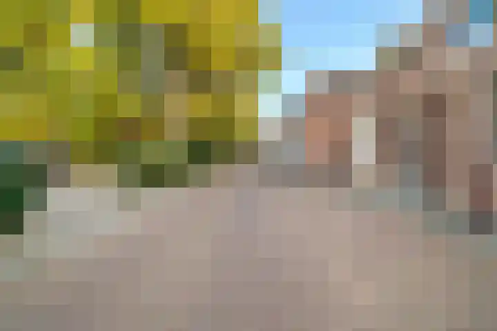 Lollestraat 21 Oudenbosch thumbnail 46