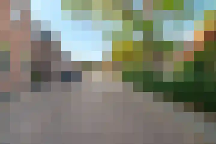 Lollestraat 21 Oudenbosch thumbnail 47