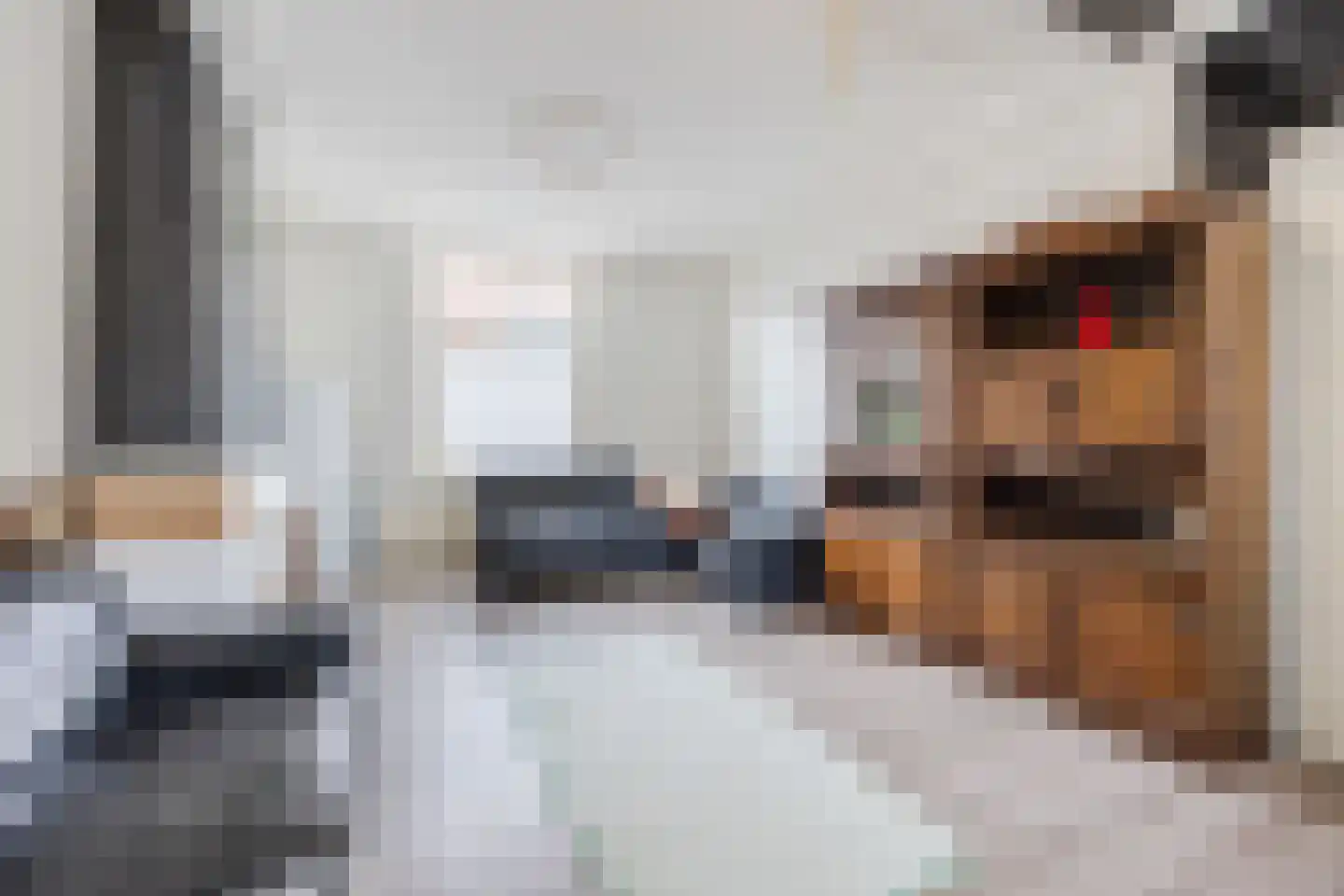 Lollestraat 31 Oudenbosch thumbnail 10