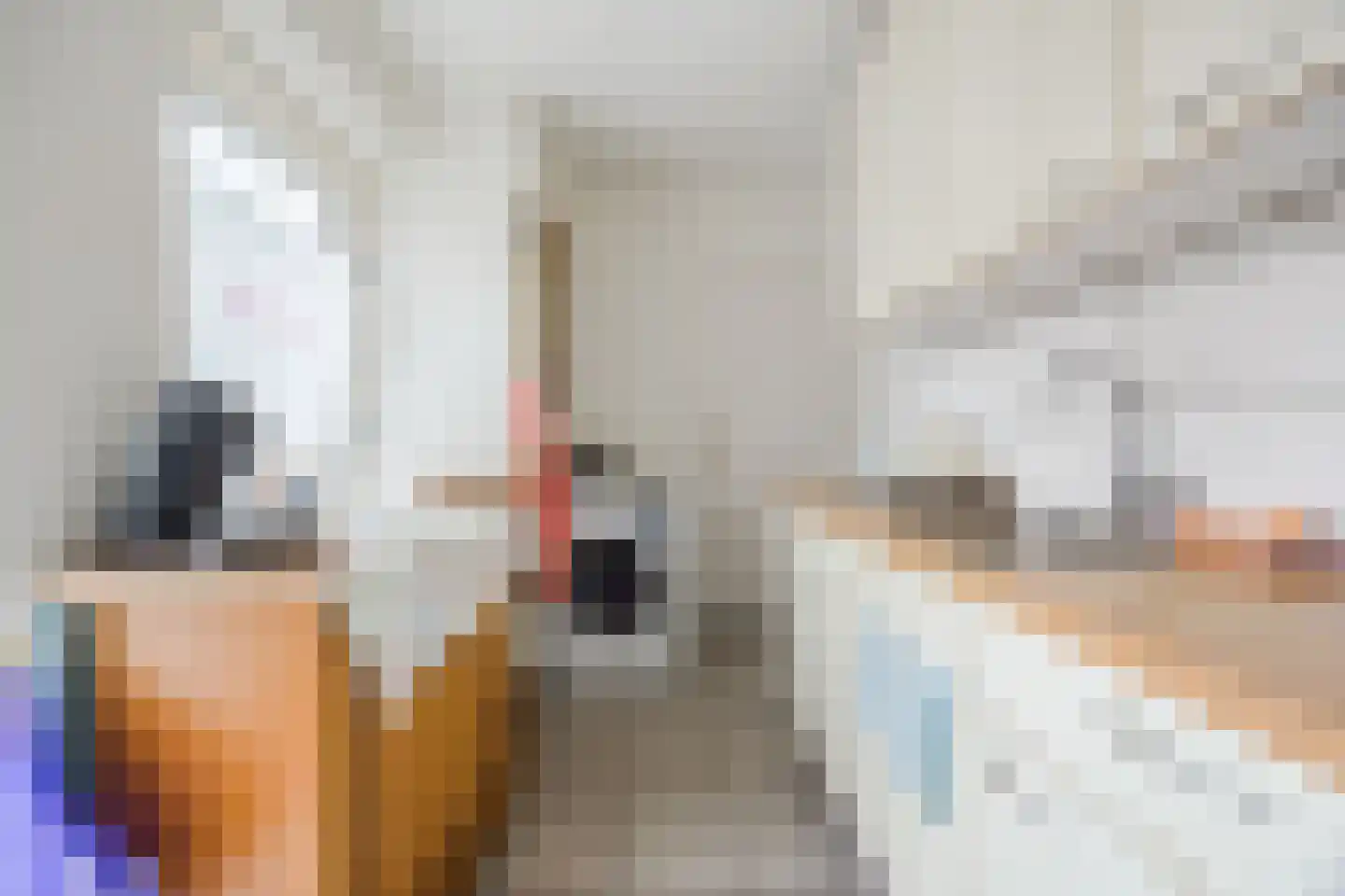 Lollestraat 31 Oudenbosch thumbnail 15