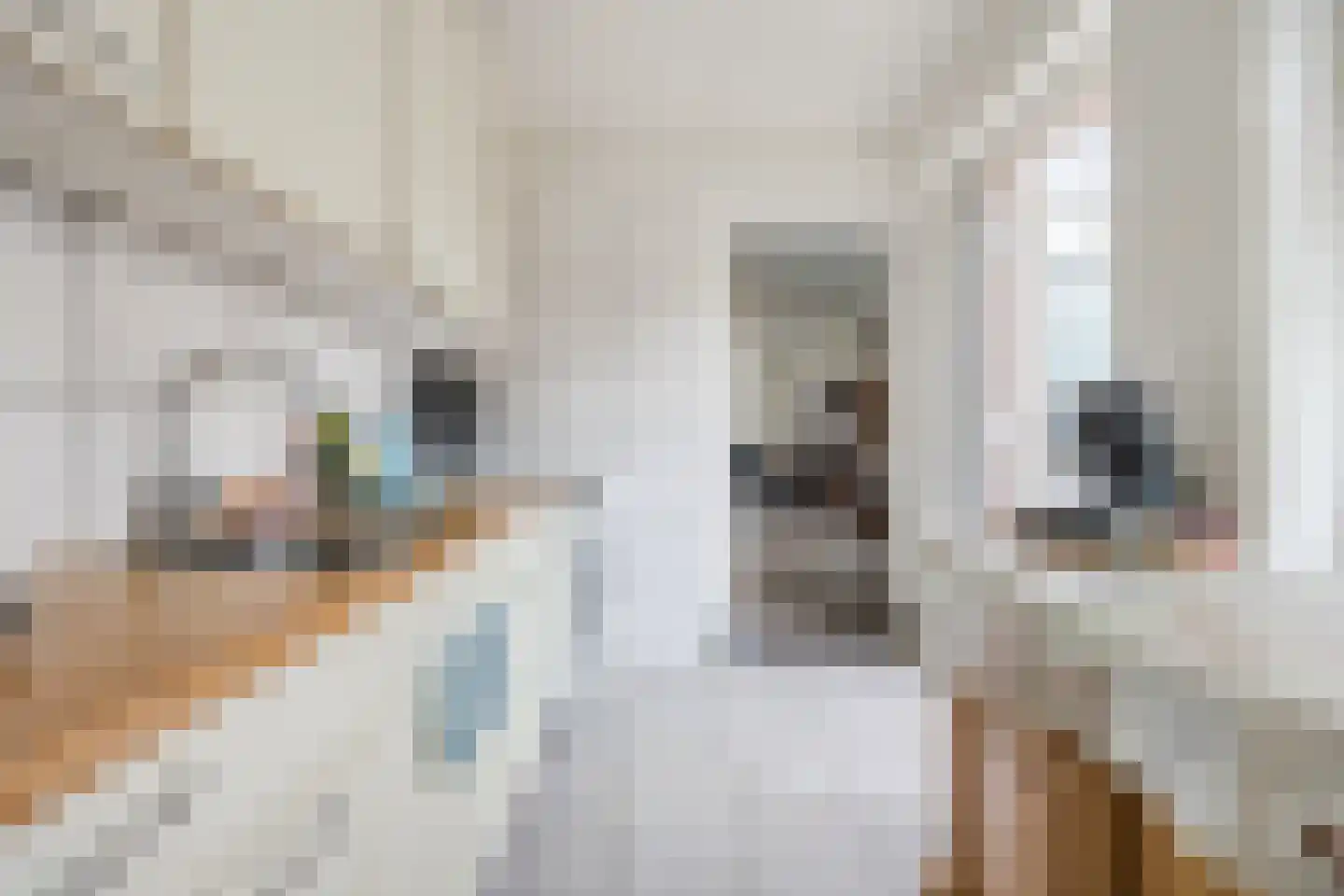 Lollestraat 31 Oudenbosch thumbnail 16
