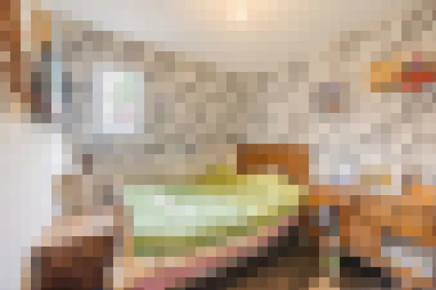 Lollestraat 31 Oudenbosch thumbnail 19