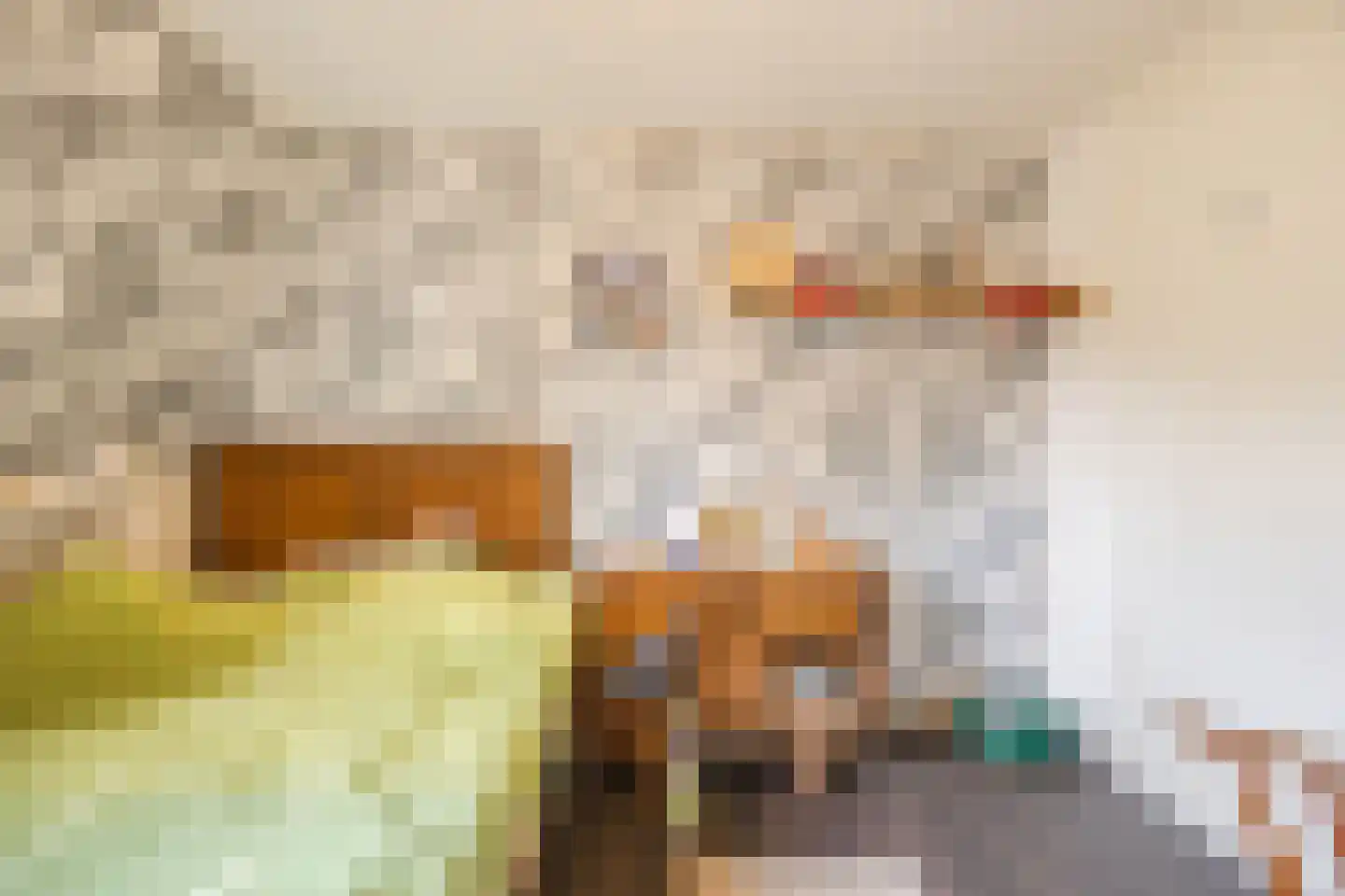 Lollestraat 31 Oudenbosch thumbnail 20
